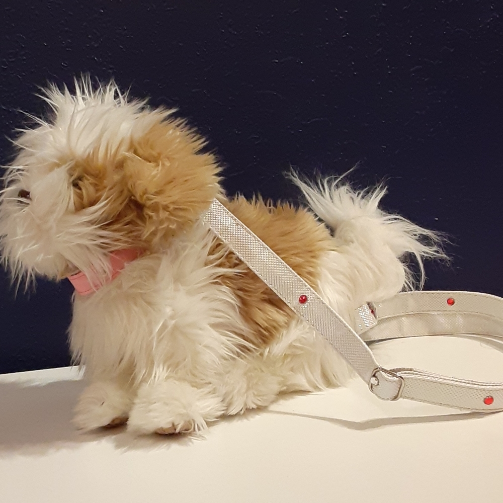Dog purse!!!